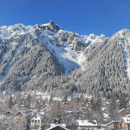 شقة Le Balcon Du Brevent - Happy