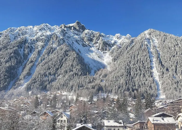 Lejlighed Le Balcon Du Brevent - Happy